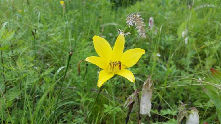 点击查看原图大小