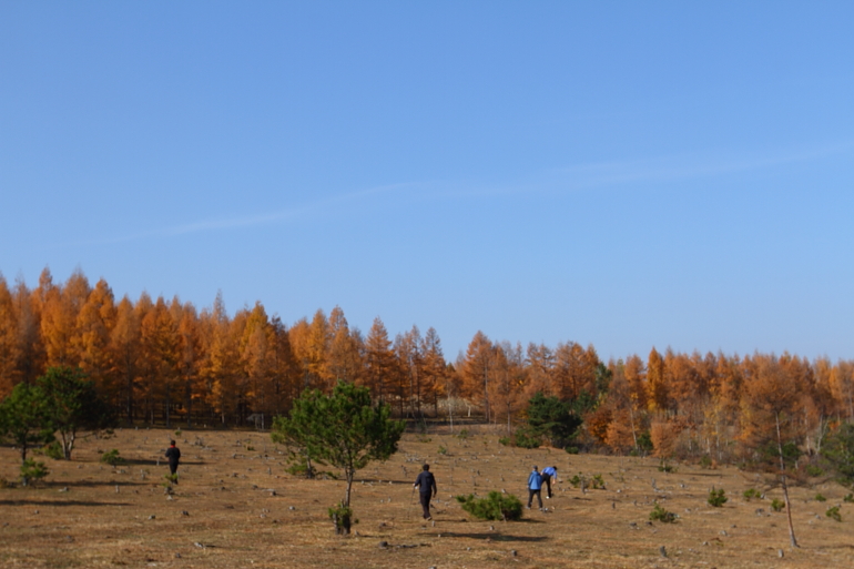 点击查看原图大小