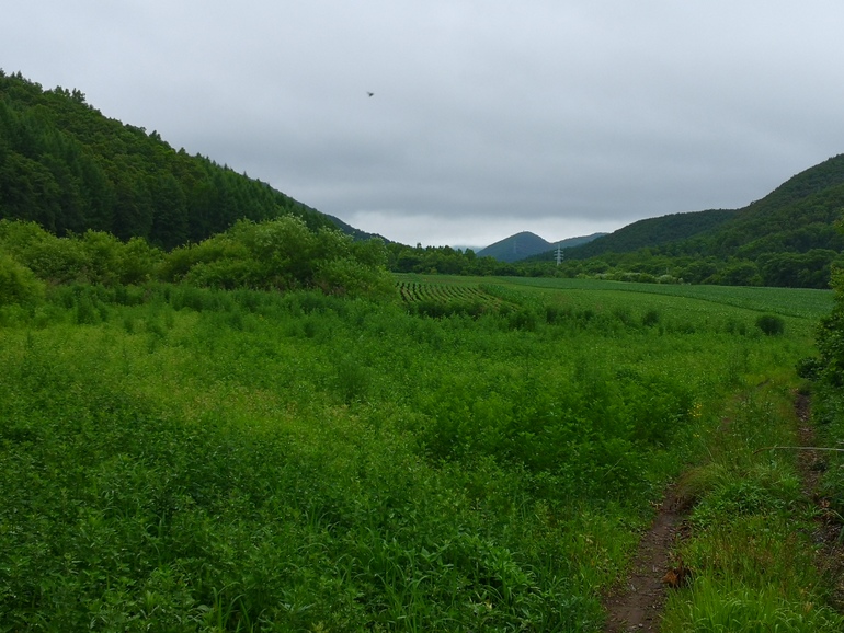 点击查看原图大小