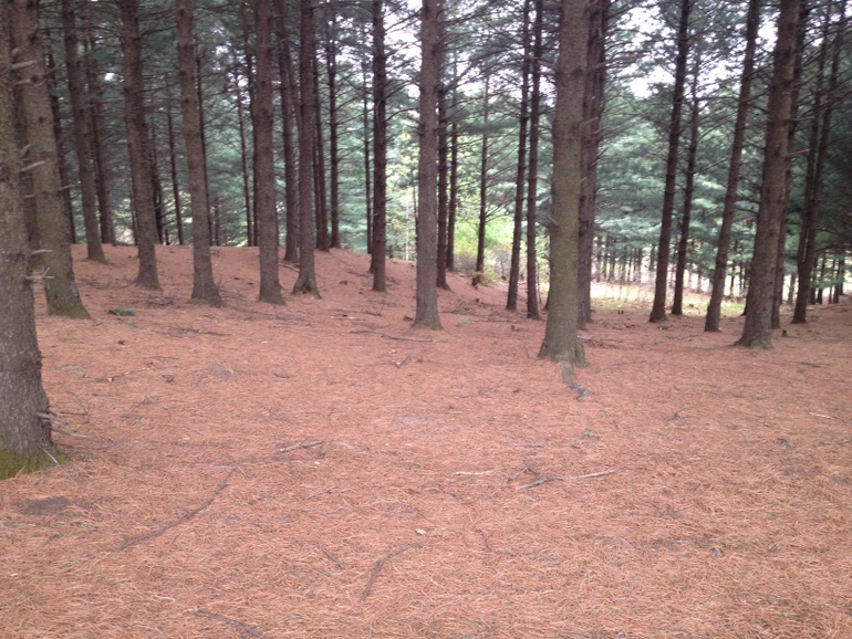 点击查看原图大小