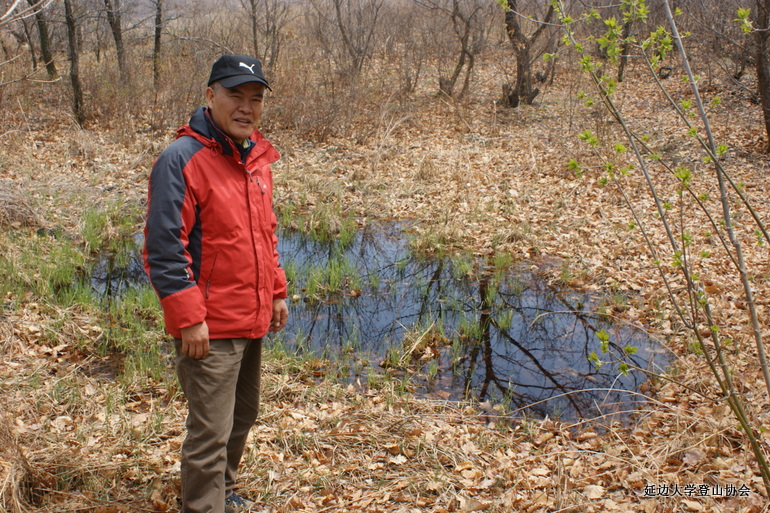 点击查看原图大小