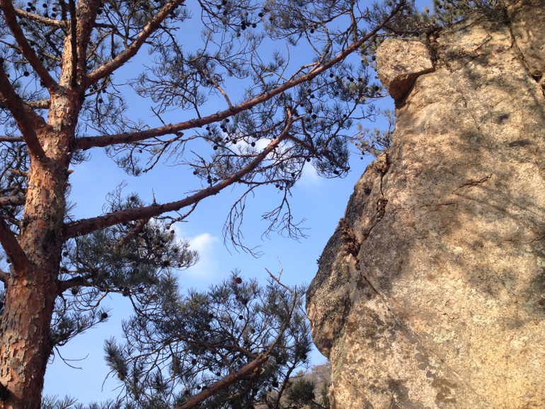 点击查看原图大小