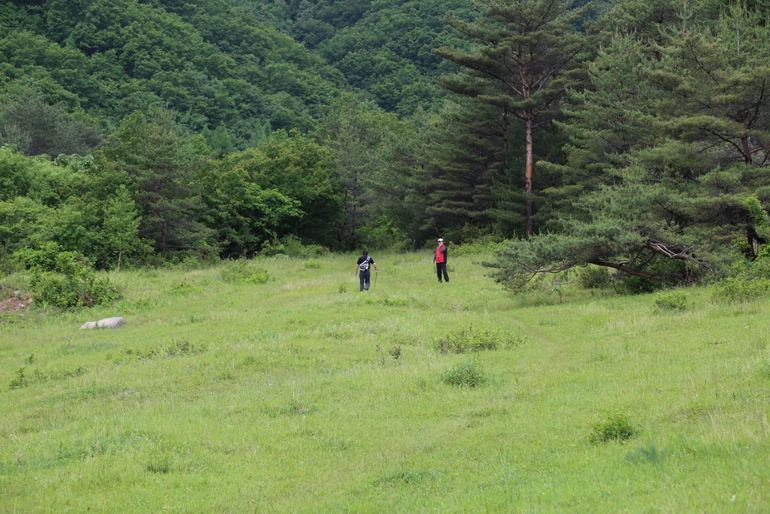 点击查看原图大小