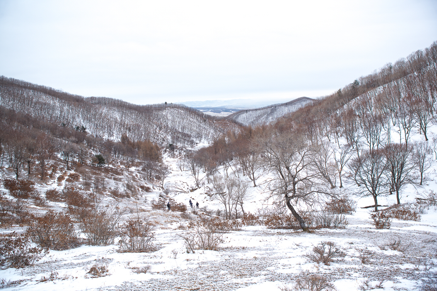 点击查看原图大小