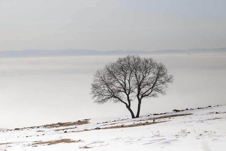 点击查看原图大小