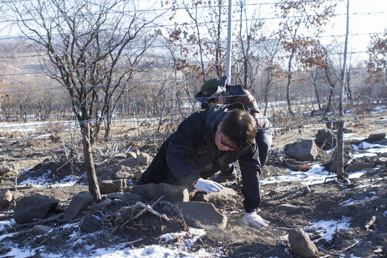 点击查看原图大小