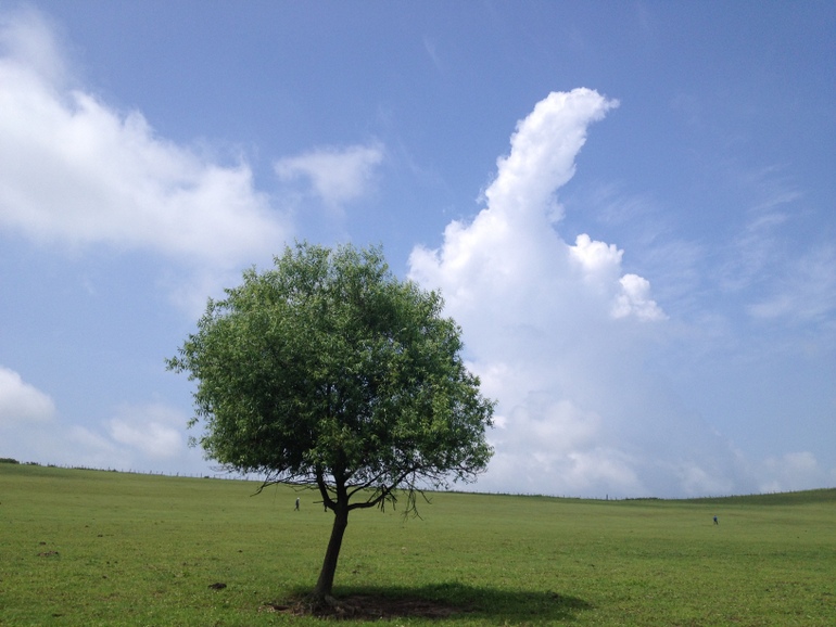 点击查看原图大小