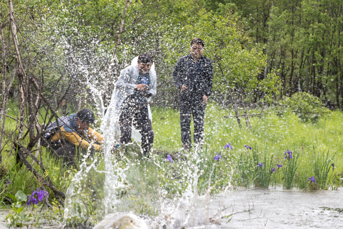 点击查看原图大小