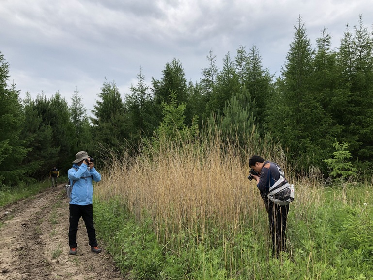 点击查看原图大小