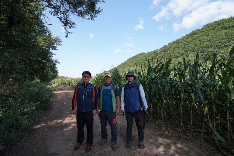 点击查看原图大小