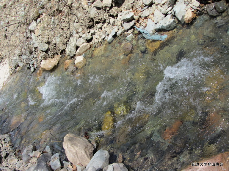 点击查看原图大小