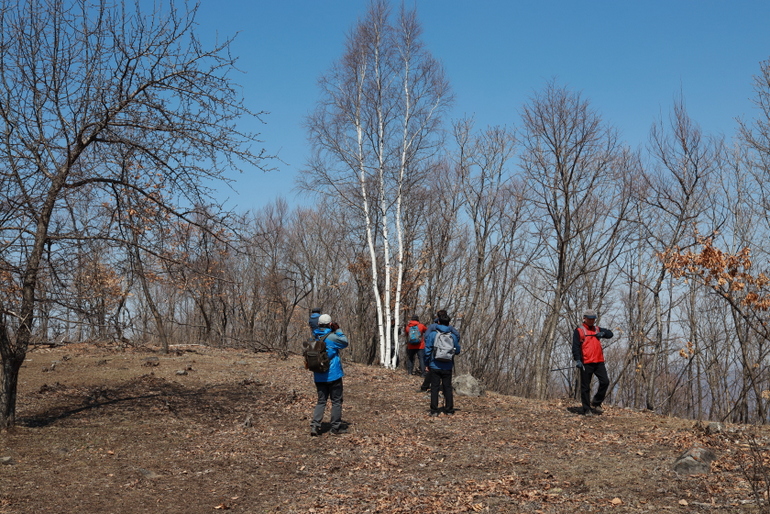 点击查看原图大小