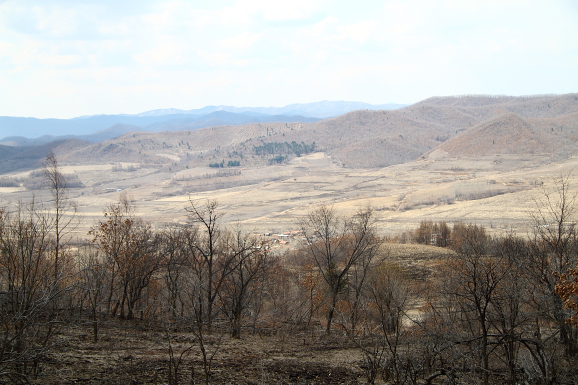 点击查看原图大小