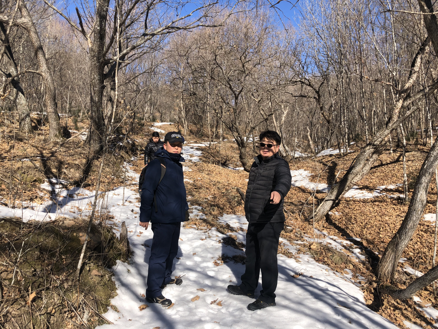 点击查看原图大小