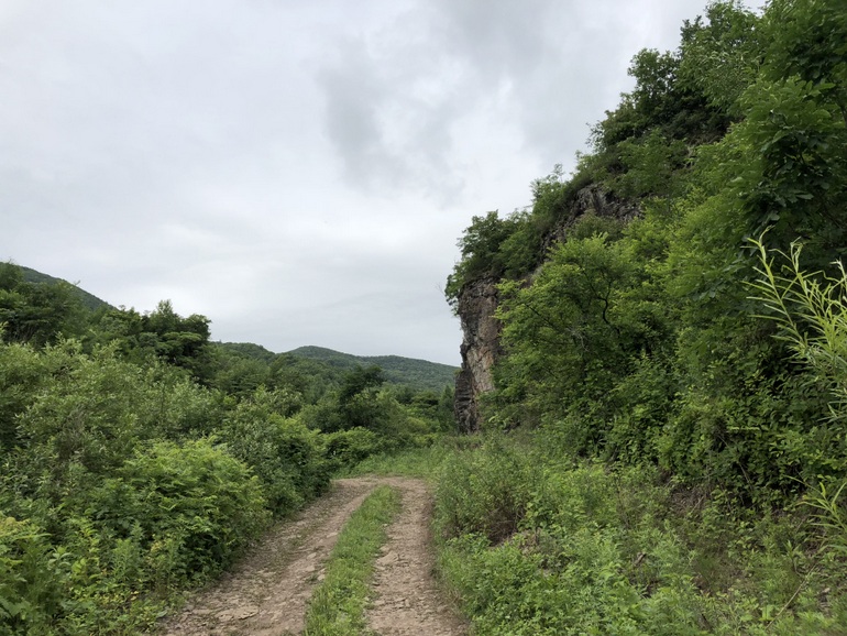 点击查看原图大小