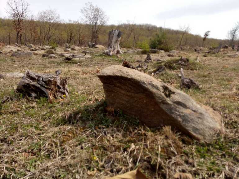 点击查看原图大小