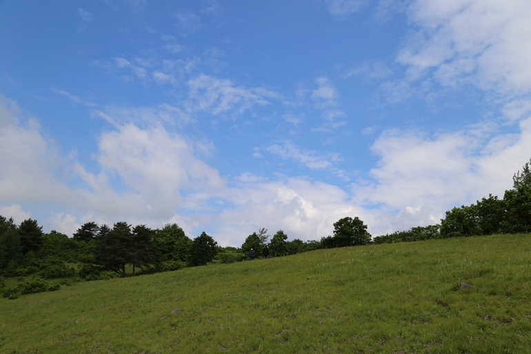 点击查看原图大小