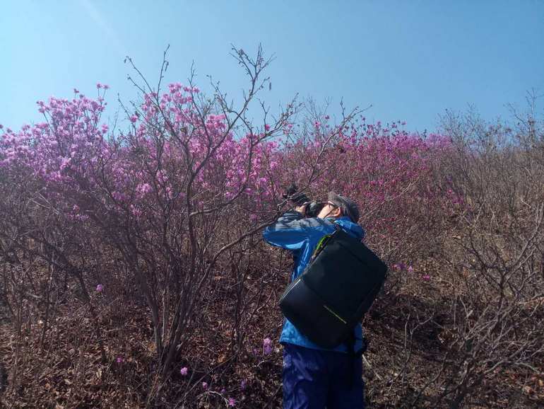 点击查看原图大小