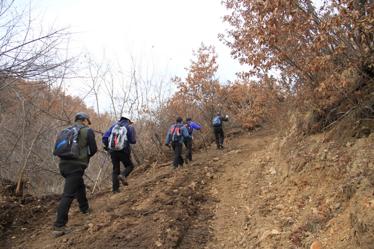 点击查看原图大小