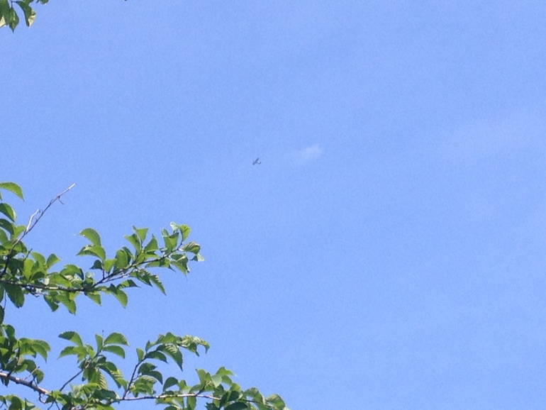 点击查看原图大小