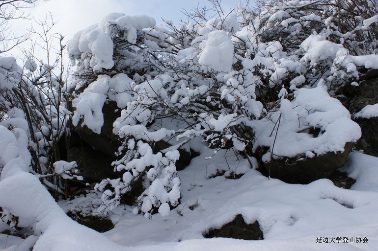 点击查看原图大小