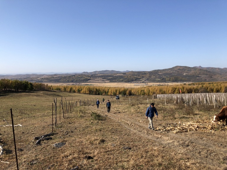 点击查看原图大小