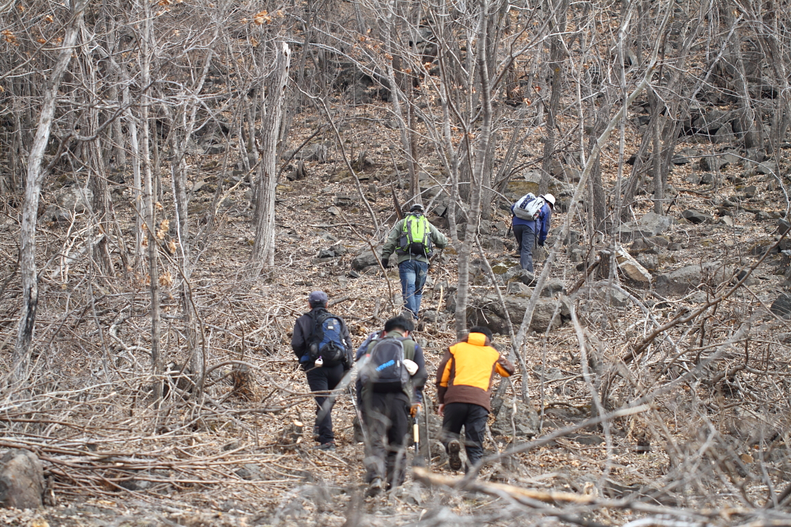 点击查看原图大小