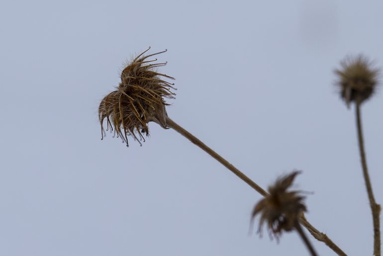 点击查看原图大小