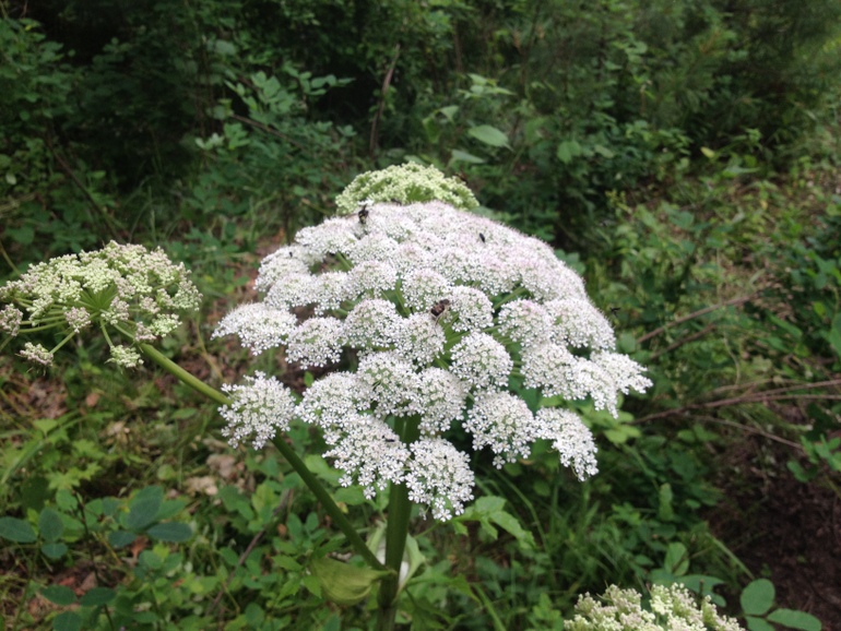 点击查看原图大小