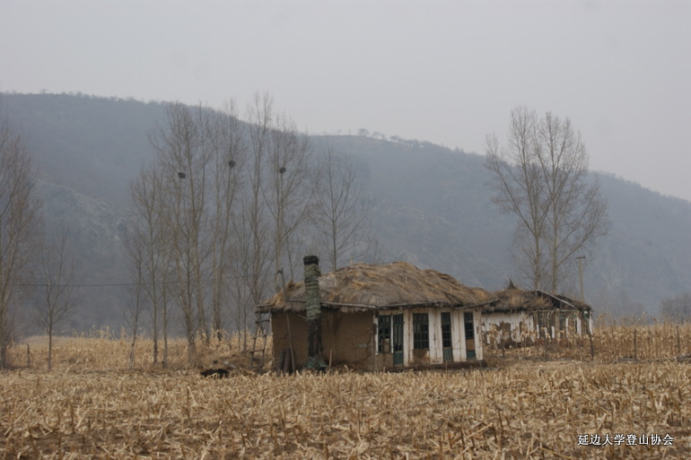 点击查看原图大小