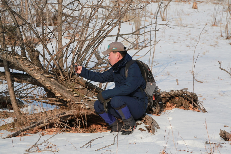 点击查看原图大小