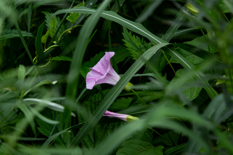 点击查看原图大小