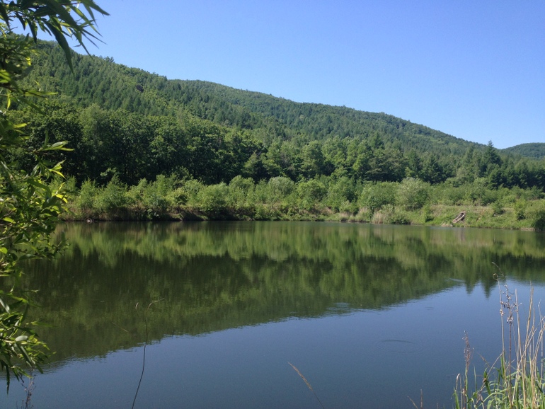 点击查看原图大小