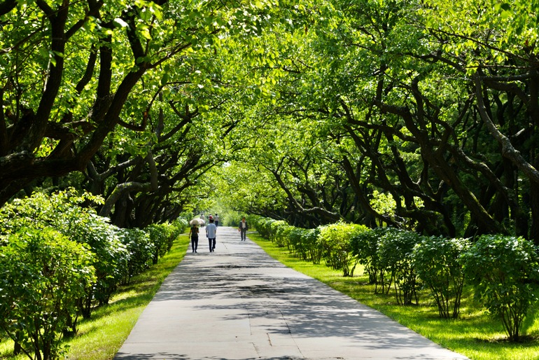 点击查看原图大小