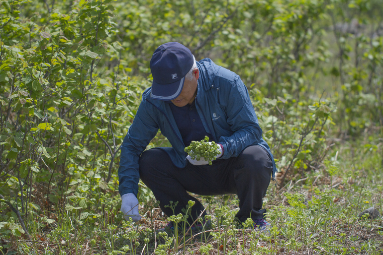 点击查看原图大小