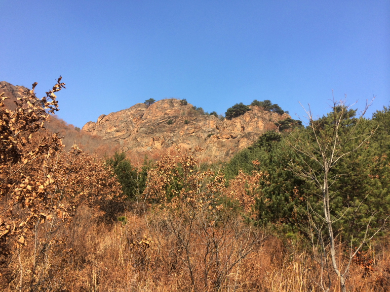 点击查看原图大小