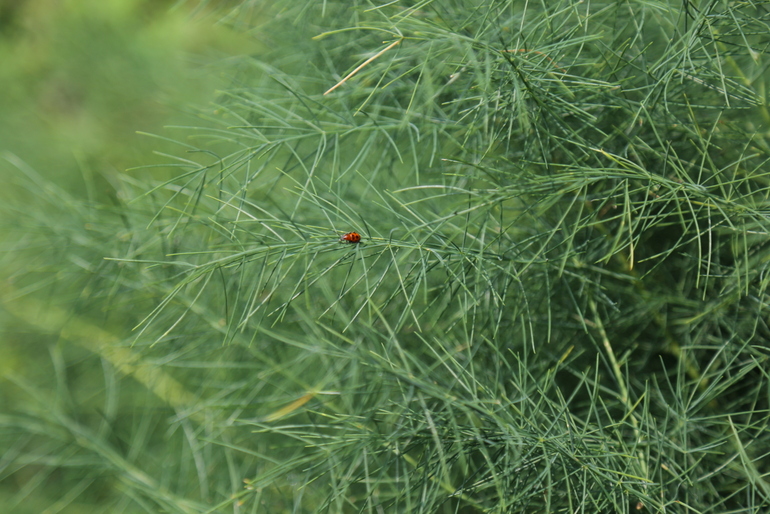 点击查看原图大小