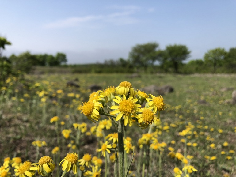 点击查看原图大小