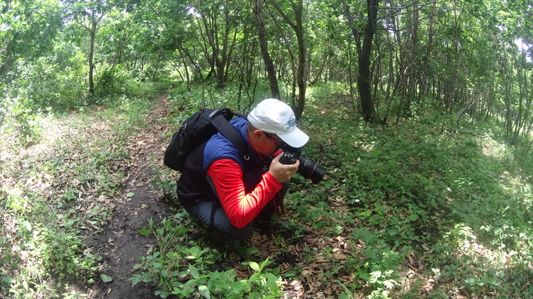点击查看原图大小