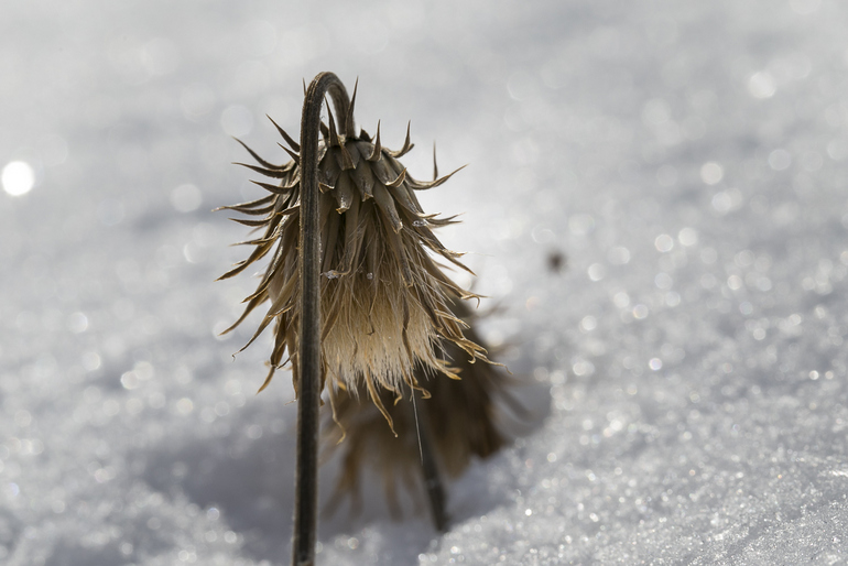 点击查看原图大小