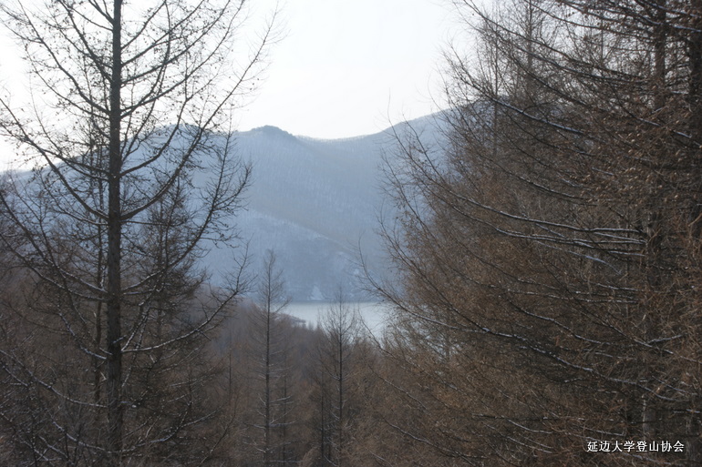 点击查看原图大小