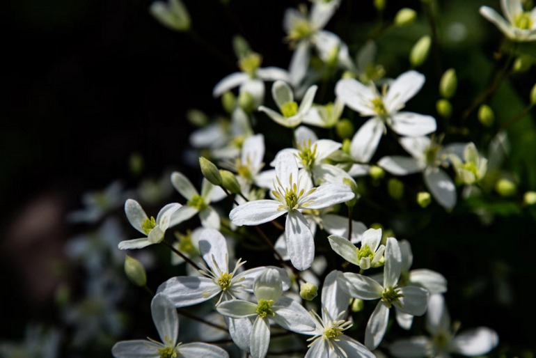 点击查看原图大小