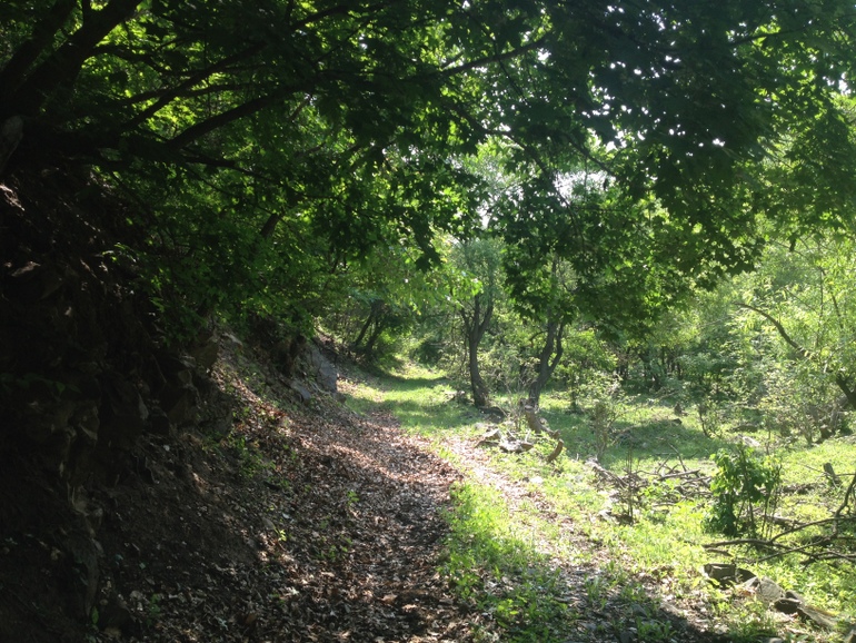 点击查看原图大小