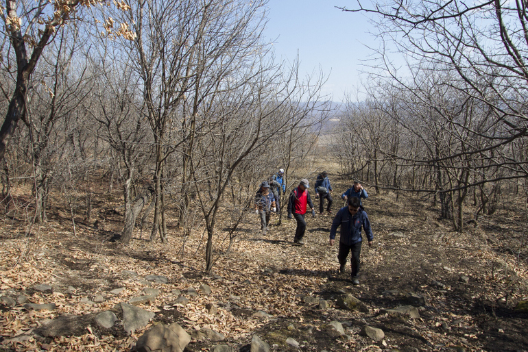 点击查看原图大小