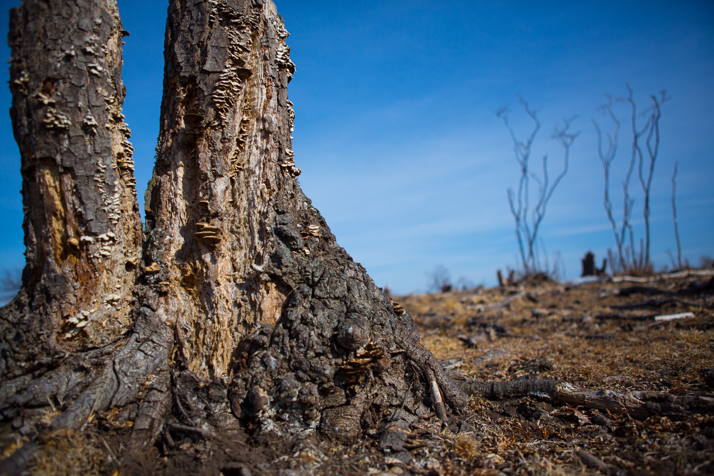 点击查看原图大小