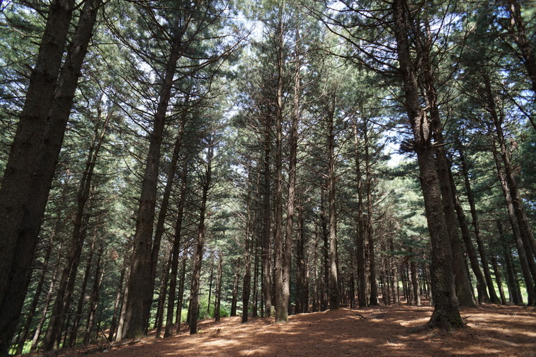 点击查看原图大小