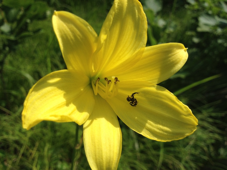 点击查看原图大小