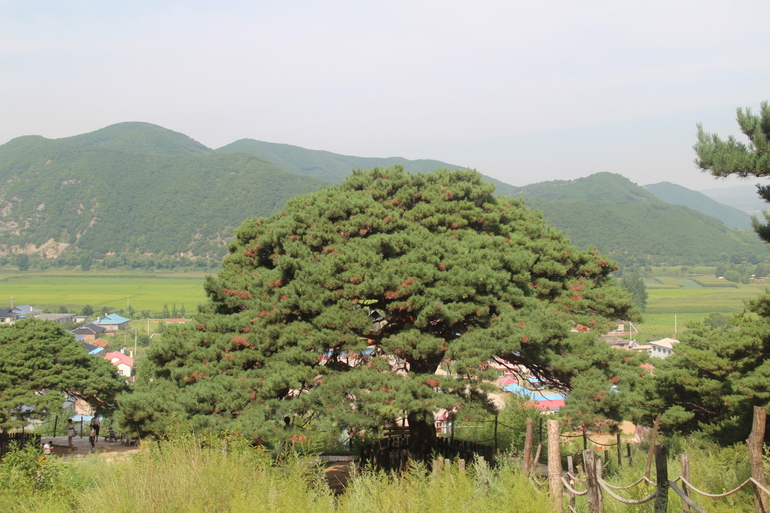 点击查看原图大小