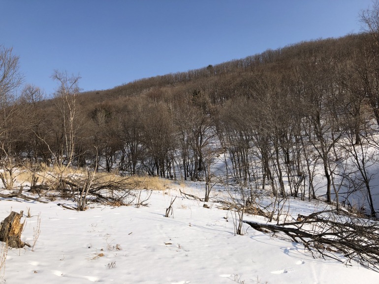 点击查看原图大小