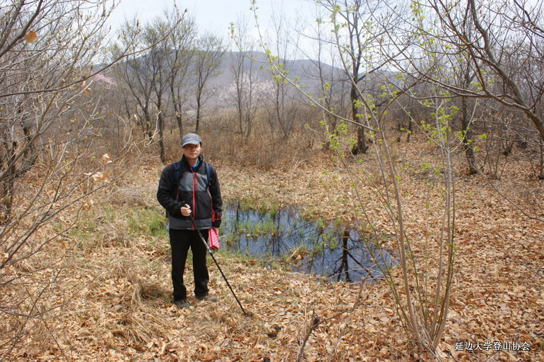 点击查看原图大小